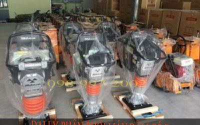 đại lý phân phối máy đầm cóc
